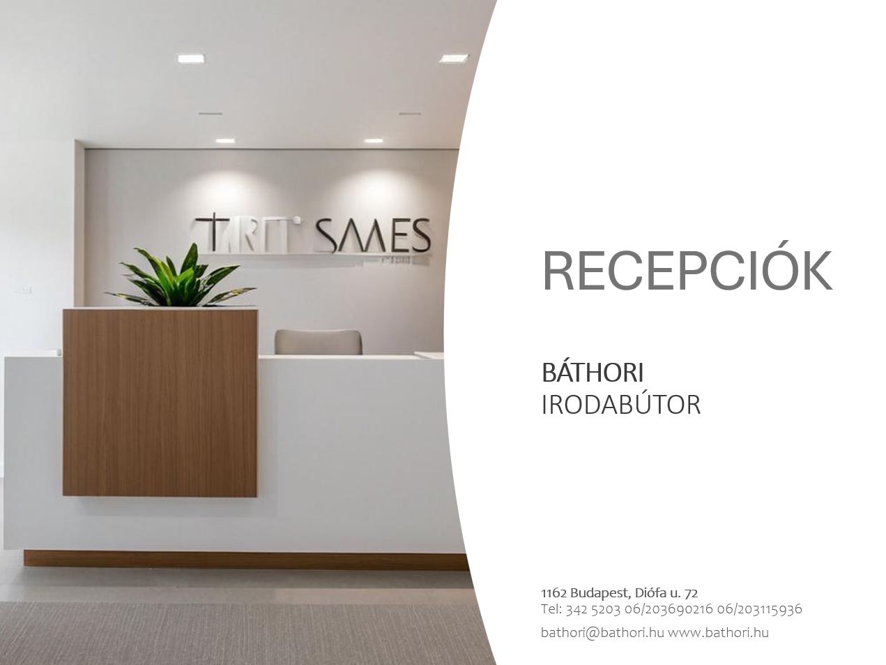 Recepciók katalógus